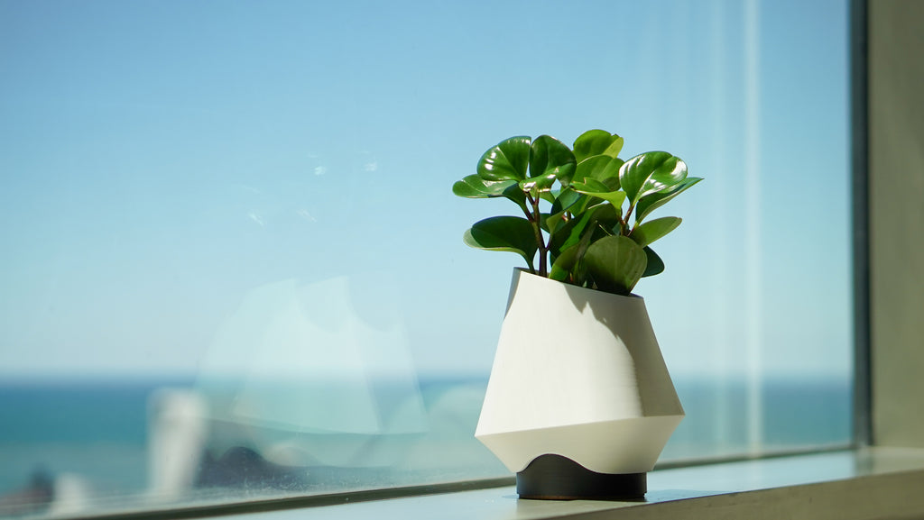 Orea Planter