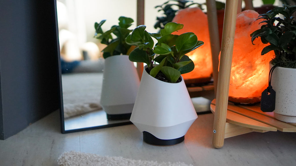 Orea Planter