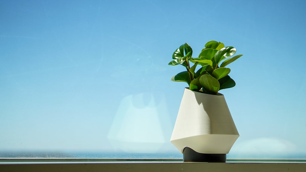 Orea Planter