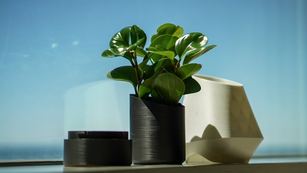 Orea Planter