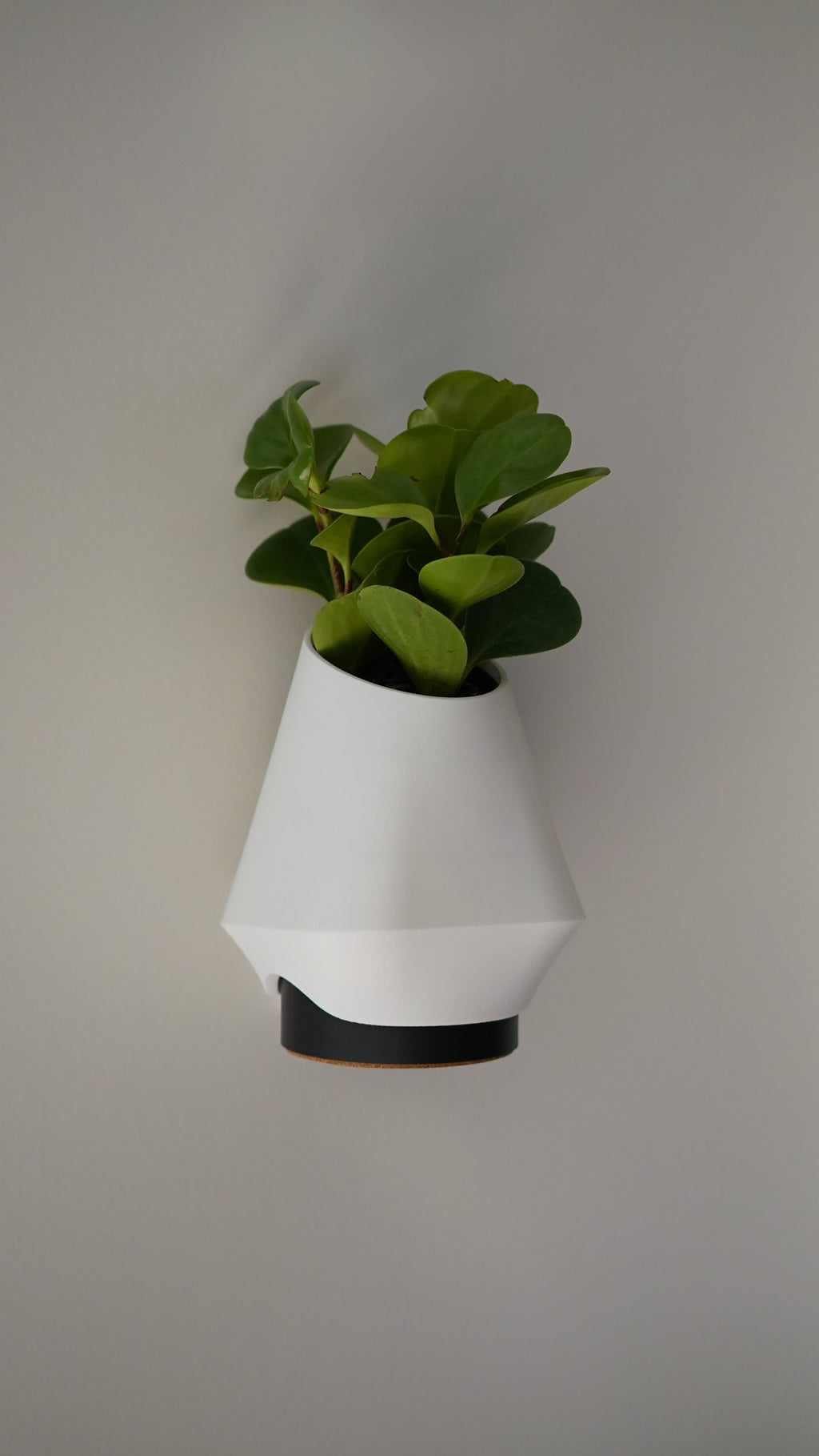 Orea Planter