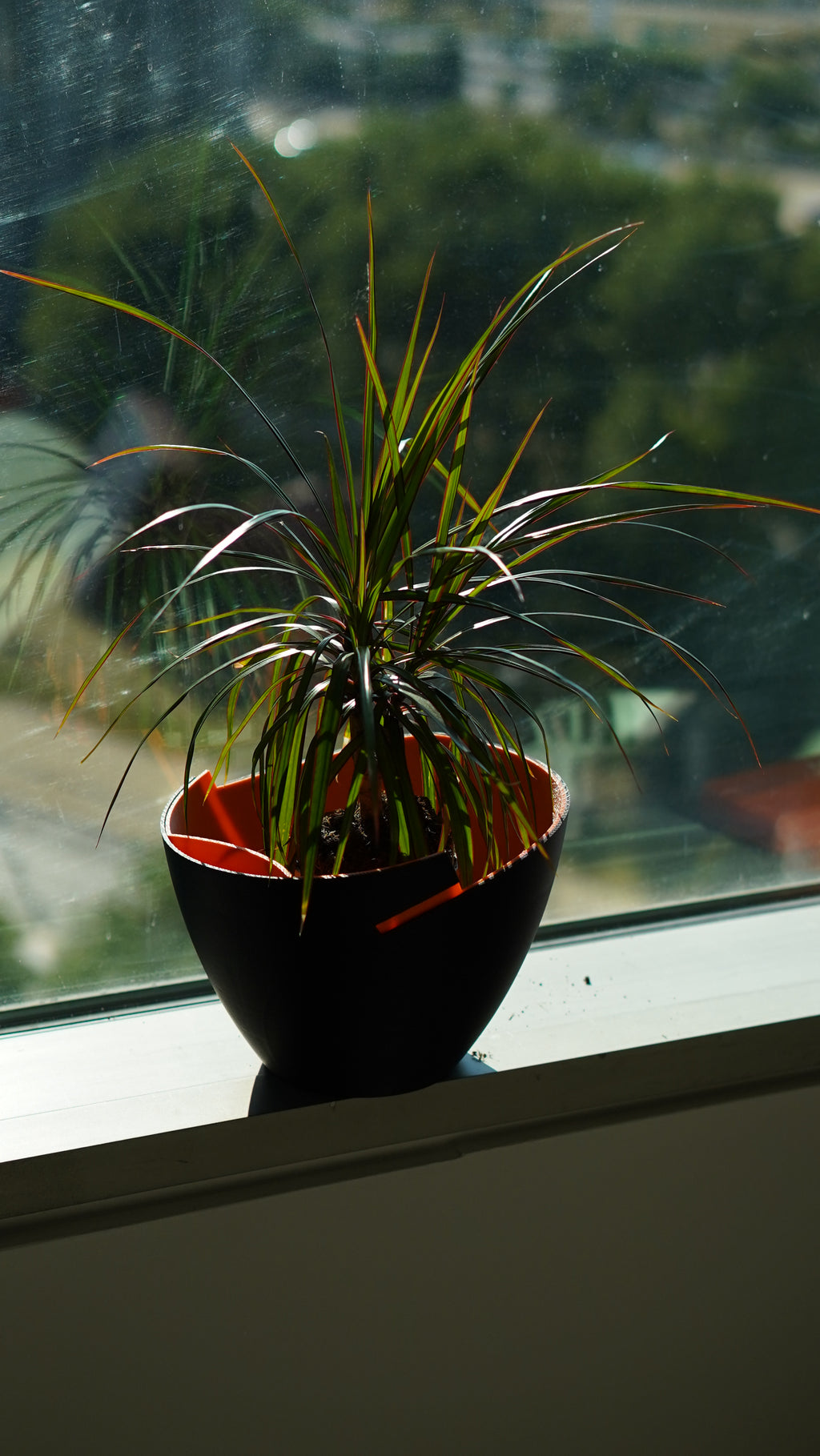 Jax Planter