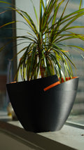 Jax Planter